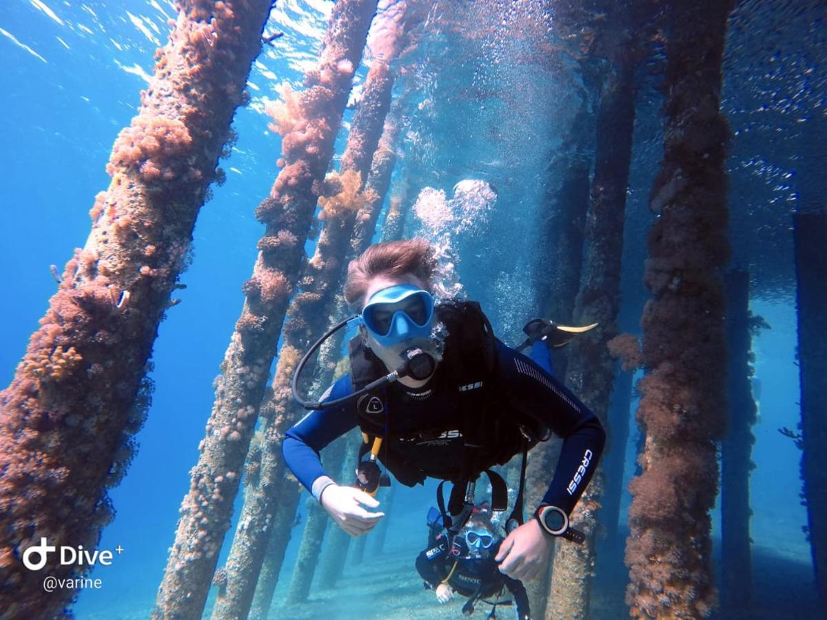 Aqaba Pro Divers Exteriör bild
