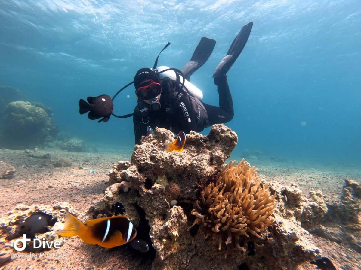 Aqaba Pro Divers Exteriör bild