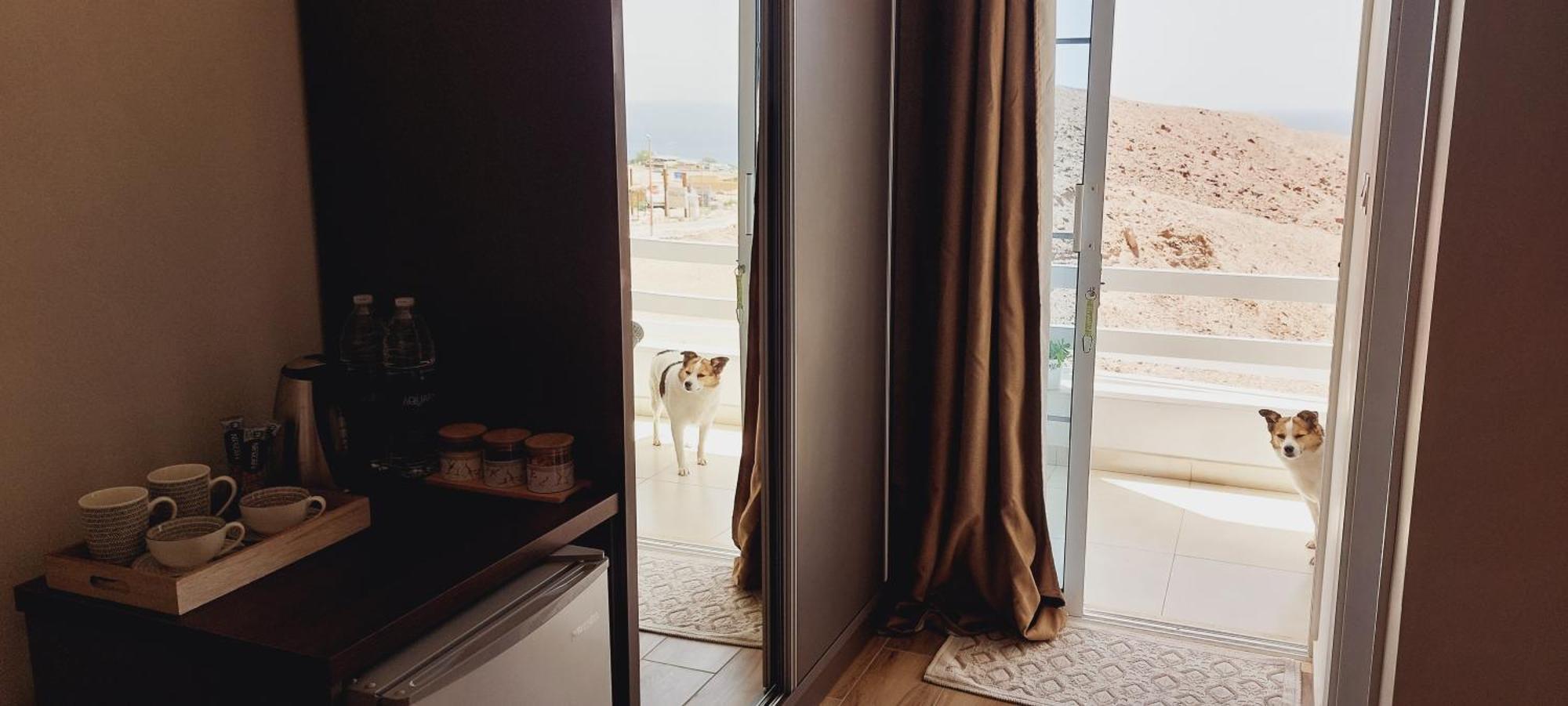 Aqaba Pro Divers Exteriör bild