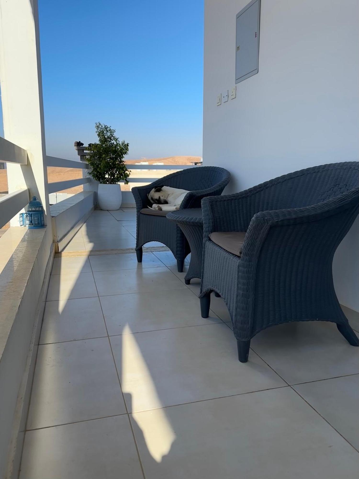 Aqaba Pro Divers Exteriör bild